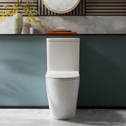 Stand-WC mit aufgesetztem Spülkasten & Spülknopf (Farbe wählbar) | inkl. Sitz mit Absenkautomatik - Brunswick