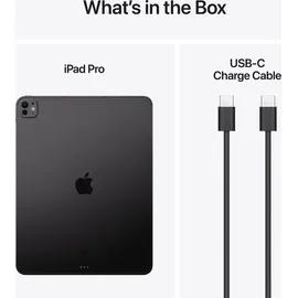 Apple iPad Pro 13" (7. Generation 2024) 256 GB Wi-Fi + Cellular space schwarz