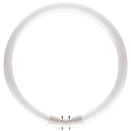 Philips Master TL5 Circular 55W/830 2GX13