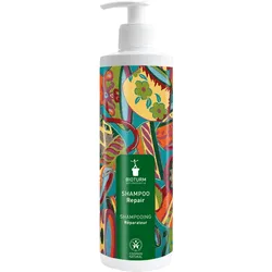 Shampoo Repair