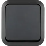 REV Ritter REV Komplett Taster AquaStorm Hellgrau, Schwarz 0004310400 1St.