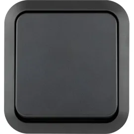 REV Ritter REV Komplett Taster AquaStorm Hellgrau, Schwarz 0004310400 1St.