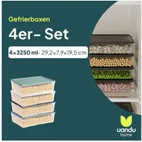 uandu home Frischhaltedose Gefrierbox Set, Frischhaltedosen mit Deckel - 4er Set, BPA-frei, (Deli Container, Gefrierbehälter, Gefrierboxen Organizer), Kühlschrank Organizer, Gefrierschrank Organizer, Gefrierdosen 13000 ml