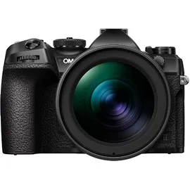 OM System OM-1 II + M.Zuiko 150-400mm f/4,5 TC1,25x IS Pro