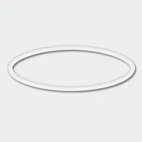 Wiltec Ersatzteil für Druckteichfilter CPF-180/250 O-Ring 30 x 2,4