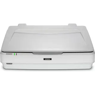 Epson Expression 13000Xl