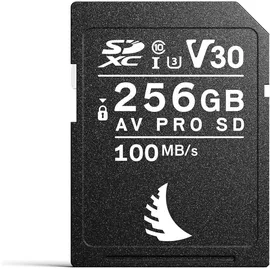 Angelbird SD V30 256 GB