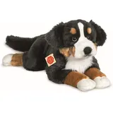 Hermann Teddy Berner Sennenhund