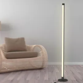NÄVE Motion Light 150 cm 5269361 bunt