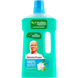 Meister Proper Allzweckreiniger Frühlingserwachen 1000 ml