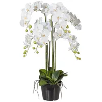 Creativ-green Kunstblume Orchidee, Phalaenopsis, weiß, im Topf, Höhe 90