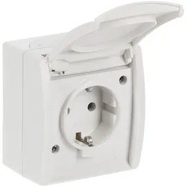 Busch-Jaeger Schuko-Steckdose 20 EW-54 Alpinweiß