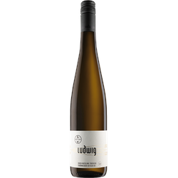 Weingut Ludwig - Ritsch Riesling Trocken 2022