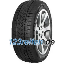 MINERVA Frostrack UHP 225/55 R17 97H