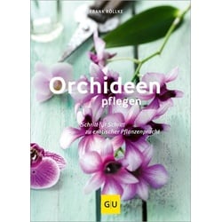 Orchideen pflegen