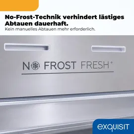 Exquisit KGC5380-115-NF-040A Kühl-Gefrierkombination (377 l, 2005 mm hoch, Inoxlook)