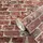 Marburg Imagine Vliestapete 64 cm x 10 m 58408 Rot