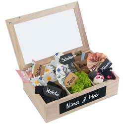 SURPRISA Geschenkbox Schotter-Schatulle Geldgeschenk, aus Paulownienholz, 6 Fächer, Geschenk zur Hochzeit, Geburtstag usw. beige