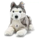 Steiff Husky Bernie 33 cm Weiß/Grau