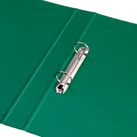 Exacompta Ringbuch DIN A4 25 mm Grün 1 St.