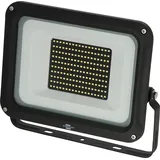 Brennenstuhl JARO 14060 Wandleuchte schwarz (1171250041)