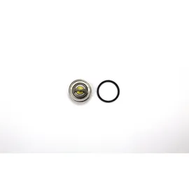 Wahler Thermostat, 3017.92D2