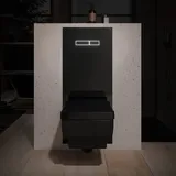 Betätigungsplatte 9650003,