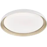 tecnolite Fischer & Honsel, Wandleuchte + Deckenleuchte, Rilla LED moderne Deckenbeleuchtung 53cm 32W warmweiss dimmbar champagner-gold 2009 (3000 lm)