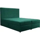 Kontinentales Bett 160x200 cm für Schlafzimmer Dream 160 Bonellfedern 2x Bettzeugkasten Grün  Monolith 37 - Grün