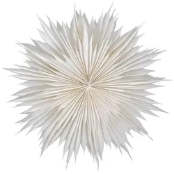 Unknown - Dust Stern Off White House Doctor