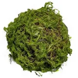Hti-Living Mooskugel 18 cm Kunstpflanze Flora
