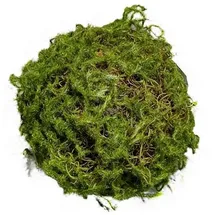 Hti-Living Mooskugel 18 cm Kunstpflanze Flora