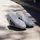 adidas Grand Court 3.0 Kinder Cloud White/Core Black/Cloud White 36
