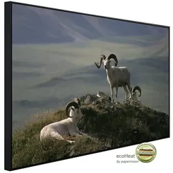 papermoon Infrarotheizung »EcoHeat - Widder in Landschaft«, Matt-Effekt - bunt