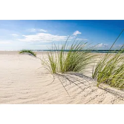 Fototapete PAPERMOON "DÜNEN-NATUR NORD SEE SAND STRAND MEER WÜSTE LANDSCHAFT", bunt, B:3,50m L:2,60m, Vlies, Tapeten