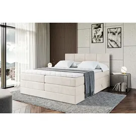 altdecor Boxspringbett mit Matratze, Topper, Polsterbett mit, Bettkasten ARDENI KING | Beige Casablanca | 140x200