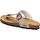 CMP Mymosa Deserto 41
