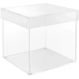 Belle Vous Transparente Quadratische Acrylbox mit Deckel - 15 x 15cm Schaukasten Durchsichtige Aufbewahrungsbox 5-Seitig - Acrylbox Kiste zur Aufbewahrung für Spielzeug, Sammler, Kosmetik, Deko
