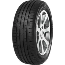 MINERVA F209 195/55 R16 87V