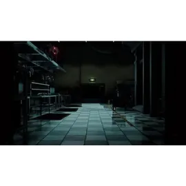 Maximum Games Five Nights at Freddy's: Security Breach - EN/FR/ES/IT (PS4)