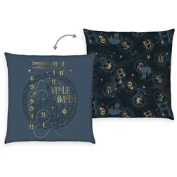 Harry Potter Soft-Velboa Kissen