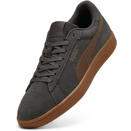 Puma Smash 3.0 Unisex Grau/Bronze 42
