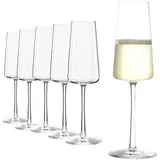 Stölzle Lausitz Power Champagnergläser 6er Set Gläser 6 ct