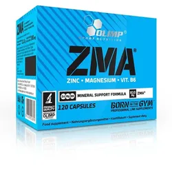 Olimp ZMA 120 St