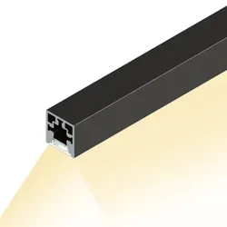Cadro Lichtprofil Basis Edelstahl Optik