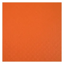 Exacompta OPAK Präsentationsmappe 100 Taschen Orange