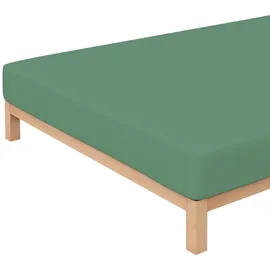 schlafgut Spannbettlaken Bio-Baumwolle-Elasthan 180 x 200 - 200 x 220 cm grün