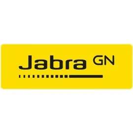 JABRA Evolve2 40 USB-A MS Teams Stereo