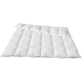 Traumina Plume Bio Daune WK 4 (Größe: 200x200 cm