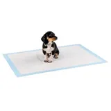 LIONTO Welpenunterlage 100